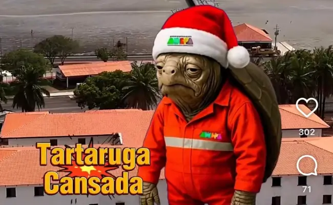 rnelson tartaruga