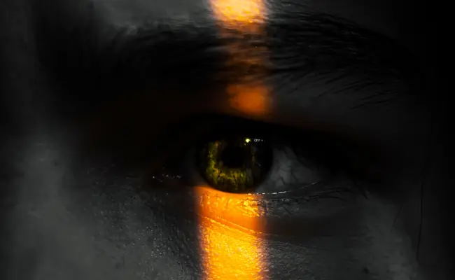 humanos