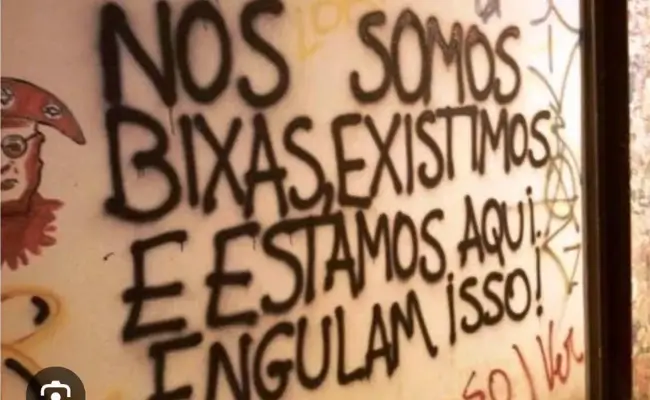 lula universidade