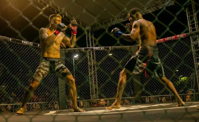 verao mma